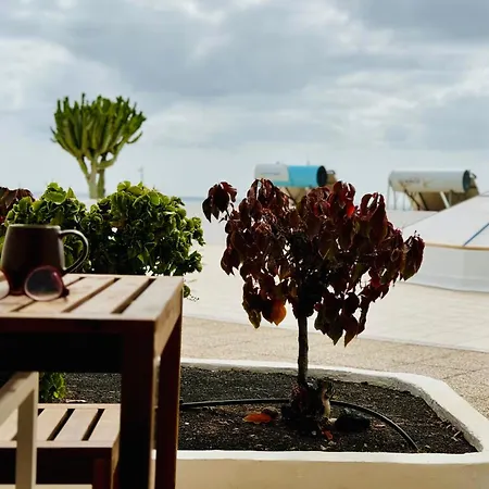 Canaryislandshost L Amapola *